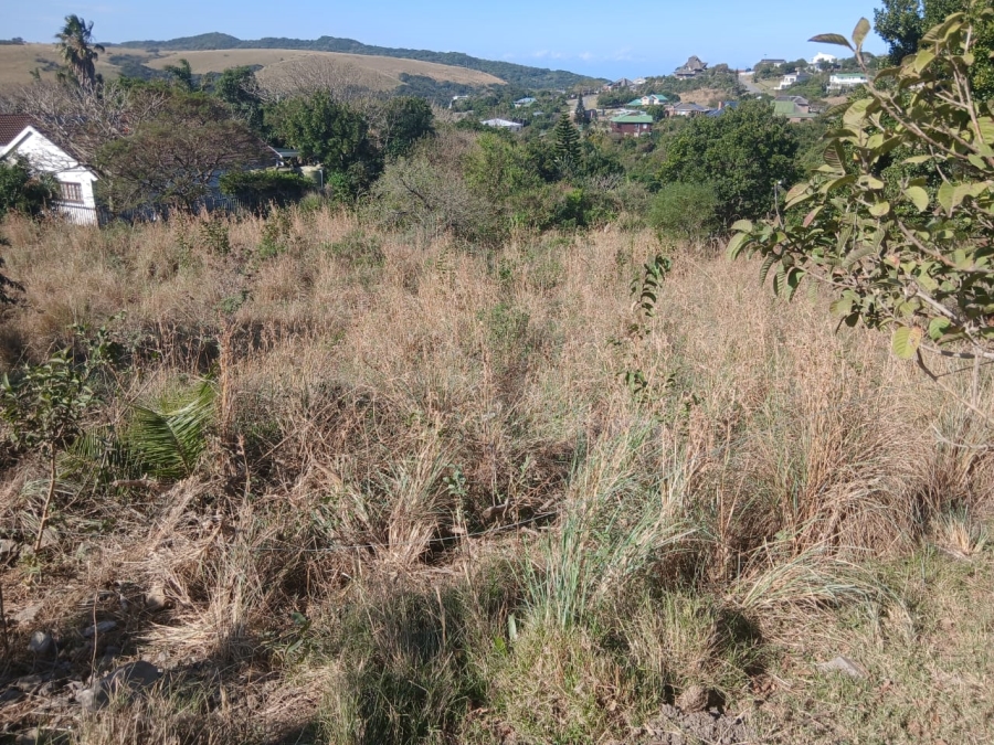 0 Bedroom Property for Sale in Morgans Bay Eastern Cape